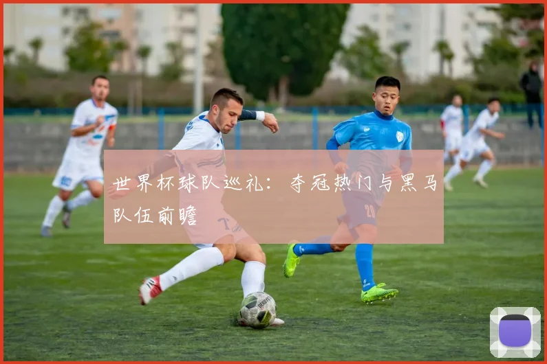世界杯球队巡礼：夺冠热门与黑马队伍前瞻