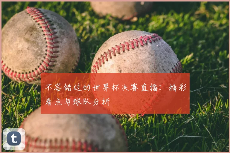不容错过的世界杯决赛直播:精彩看点与球队分析