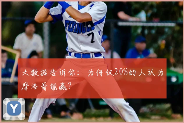 大数据告诉你:为何仅20%的人认为摩洛哥能赢?